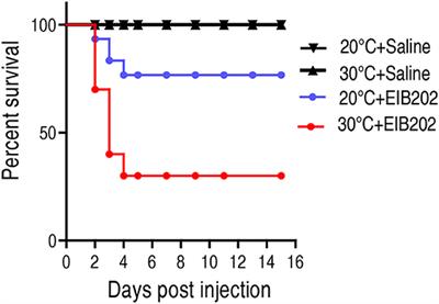 Metabolites-Enabled Survival of Crucian Carps Infected by Edwardsiella tarda in High Water Temperature